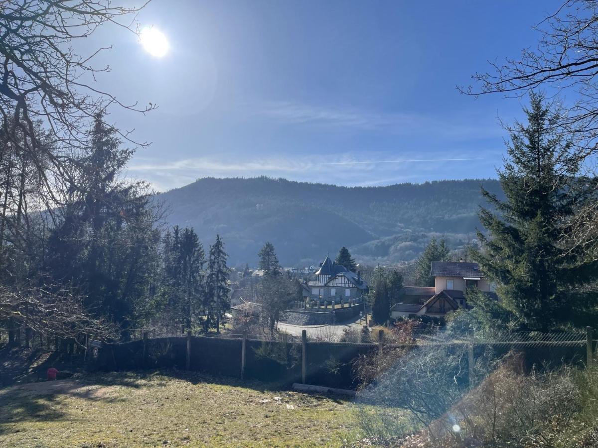 Gite Au Manoir Des Sens Avec Bain Nordique Jacuzzi Bergheim Exterior foto