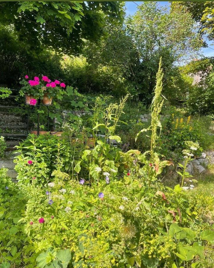 Gite Au Manoir Des Sens Avec Bain Nordique Jacuzzi Bergheim Exterior foto