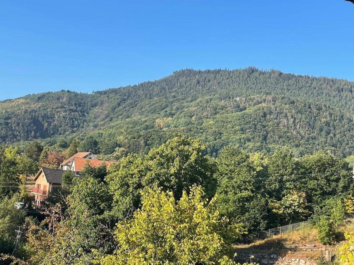 Gite Au Manoir Des Sens Avec Bain Nordique Jacuzzi Bergheim Exterior foto